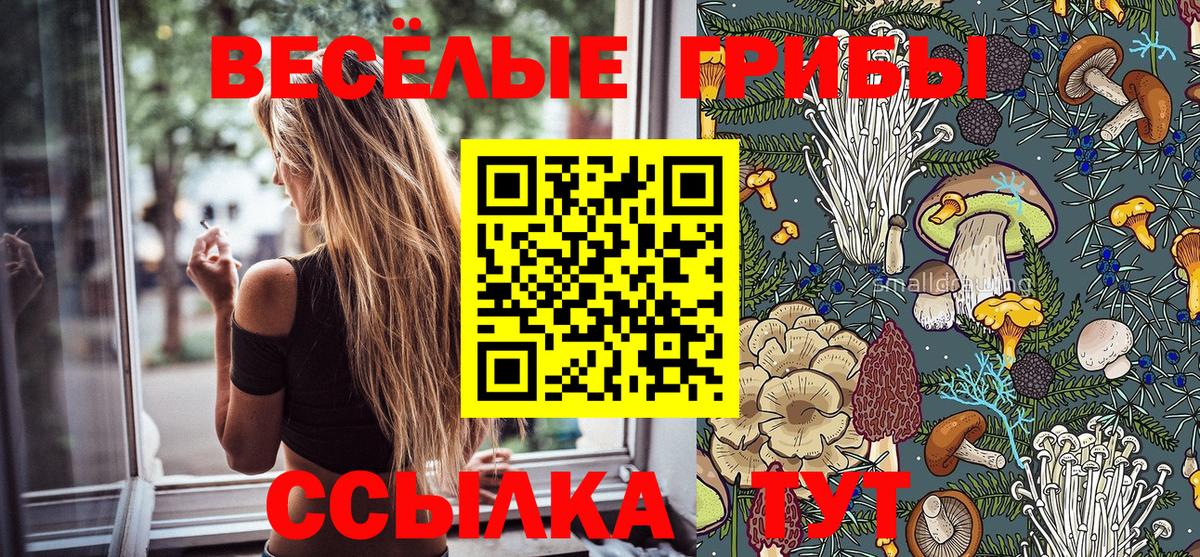 A-PVP СК   Экстази  Кокаин  МЕФ кристаллы  МАРИХУАНА  Берёзовский  ГАШИШ  Вход с VPN  КОКАИН 
