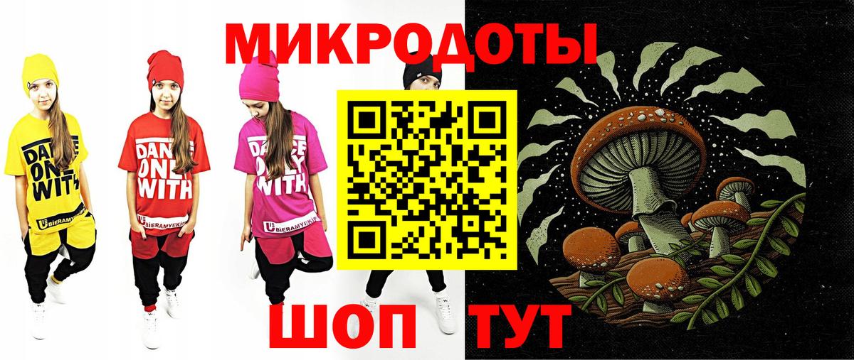 Псилоцибиновые грибы Psilocybine cubensis Берёзовский