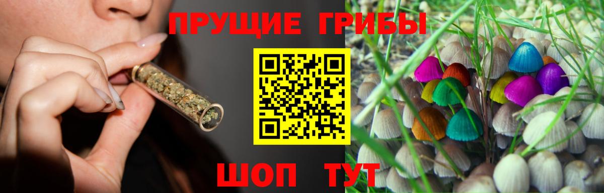 где найти наркотики  Вход с VPN  Берёзовский  Галлюциногенные грибы Psilocybe  Псилоцибиновые грибы Psilocybe 